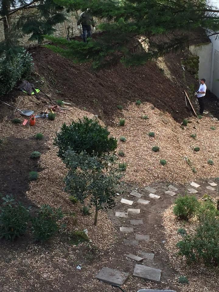 Aménagement et entretien paysager d'un jardin par BES - Berger Élagage Service